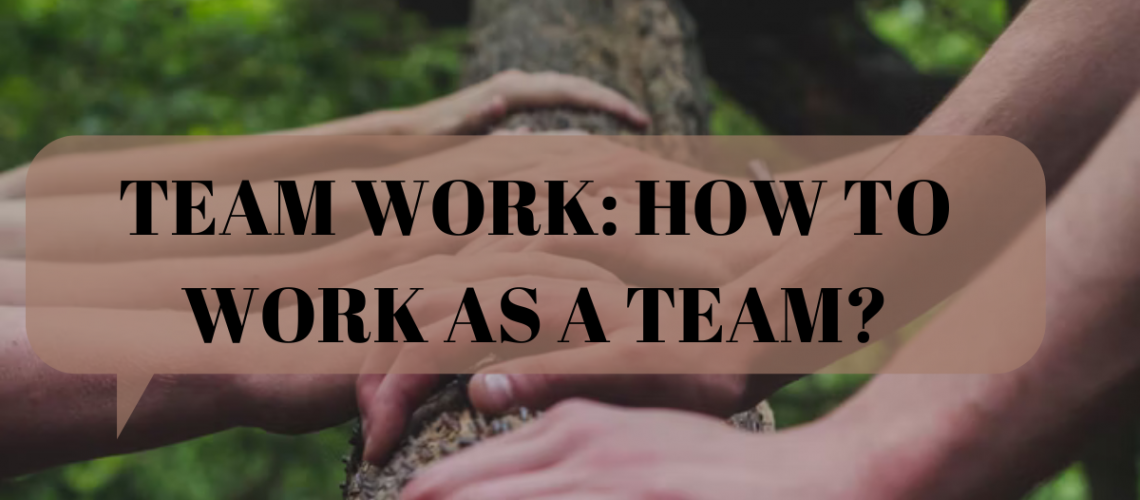 Work Team: How to work as a team?